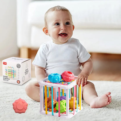 Montessori Toy 0 -12 Months